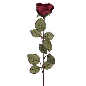 Művirág - Nagyvirágú rózsa, 72 cm, bordó kép