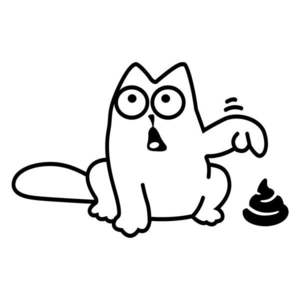 Funny Cat matrica - Ambiance kép
