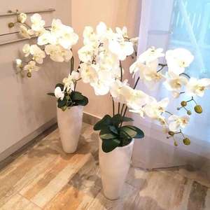 Prémium minőségű élethű orchidea fehér/fehér kép