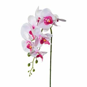 Mű orchidea, rózsaszín, 86 cm kép