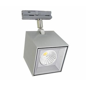 Philips LED Menyezeti lámpa DAU SPOT MONOFASE LED/10W/230V kép
