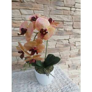 Orchidea 1 szálas kép