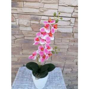 Rózsaszín csíkos 1 szálas orchideadekor kép