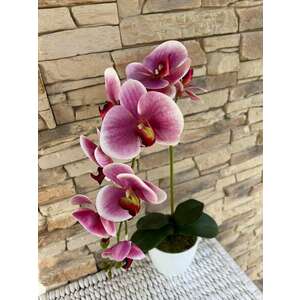 Orchidea 1 szálas kerámia kaspóban -lilás árnyalatú kép