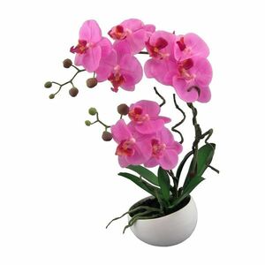 Orchideák virágtartóban kép