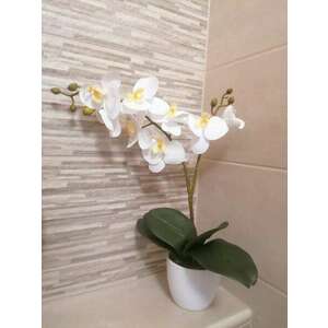 Orchidea Művirág 1 szálas kaspóban - fehér kép