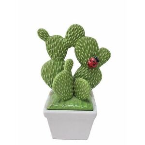 Kerámia kaktusz kaspóban katicás kép