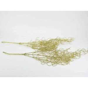 Hosszúlevelű asparagus csillámos arany 2db/csomag - KIFUTÓ kép