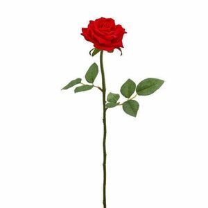 Rózsa bársony piros 58cm kép