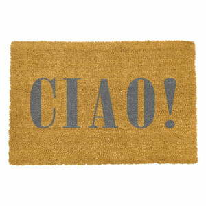Ciao Grey kókuszrost lábtörlő, 40 x 60 cm - Artsy Doormats kép