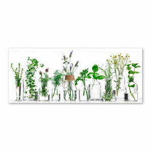Glasspik Herbs kép, 30 x 80 cm - Styler kép