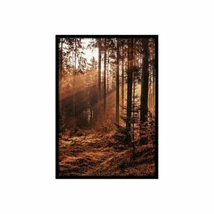 Keretezett poszter, szépia erdő, 50x70 cm, barna - SOUSBOIS - Butopêa kép
