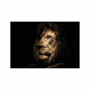 Üveg falikép, oroszlán, 70x100 cm, fekete - LION - Butopêa kép