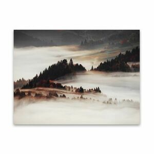 Vászon falikép, köd, 85x113 cm, fehér-sötétbarna - BRUME - Butopêa kép