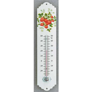 Portál hőmérő -20°...+50°C 30cm 102098.050 virágos kép