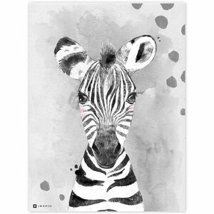 Dekorációs táblák gyerekeknek - Színes zebra kép