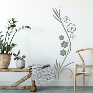 Falmatrica nappaliba - Növény kép