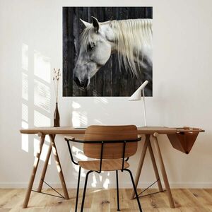 Falmatrica - Fehér ló kép