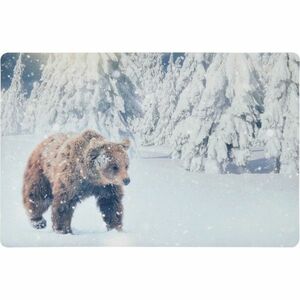 Medve lábtörlő, 38 x 58 cm kép