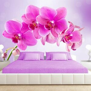 Öntapadó tapéta rózsaszínű orchidea - Thoughtfulness kép