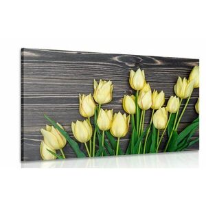 Kép sárga tulipánok fa háttéren kép
