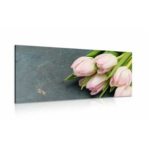Kép pasztell rózsaszín tulipánok kép