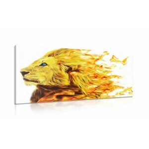 Kép tüzes oroszlán kép