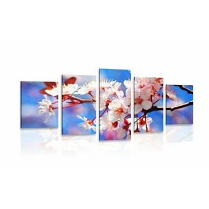 5 részes kép cseresznye virág kép