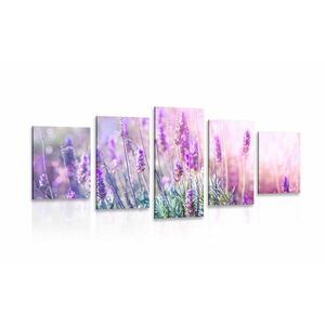 5 részes kép varázslatos levandula virágok kép
