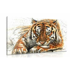 Kép tigris kép