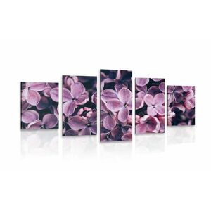 5 részes kép lila orgona virágok kép