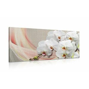 Kép fehér orchidea vásznon kép