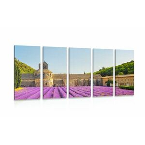 5-részes kép Provence levandulával kép