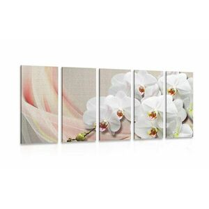 5-részes kép fehér orchidea kép