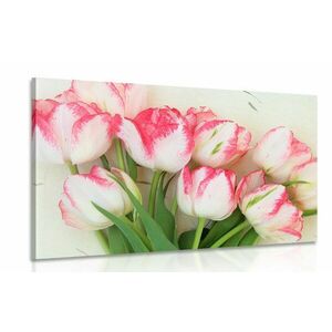 Kép tavaszi tulipánok kép