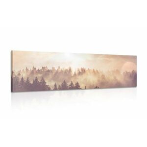 Kép köd az erdő felett kép