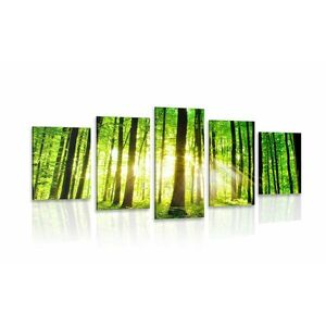 5 részes kép üde zöld erdő kép