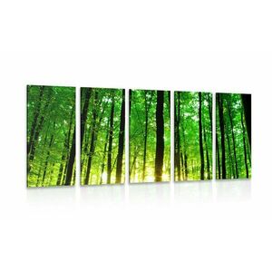 5-részes kép friss zöld erdő kép
