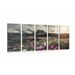 5-részes kép rét tele virágokkal kép