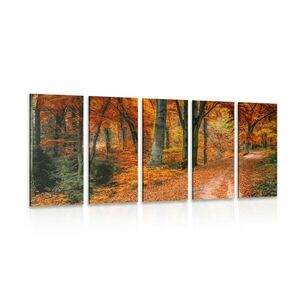 5-részes kép erdő ősszel kép