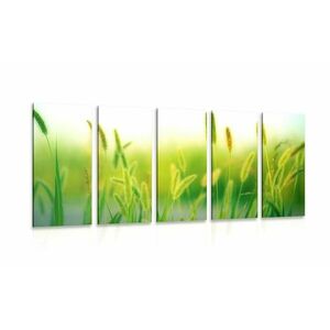 5-részes kép fű szállak zöld színben kép
