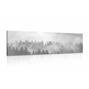 Kép hegyek ködben fekete fehérben kép