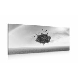Kép magányos fa egy réten, fekete-fehér kép
