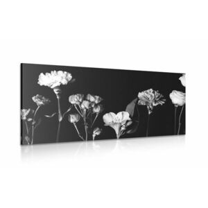 Kép elegáns virágok fekete fehérben kép
