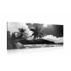 Kép gyönyörű tengerparttól a Seychelle-szigetek fekete-fehér kép