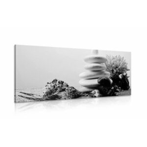 Kép Zen kövek és kagylók fekete fehér kép