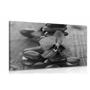 Kép orchidea és zen kövekl fekete fehérben kép