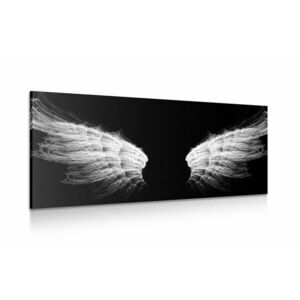 Kép angyal szárnyak fekete fehérben kép