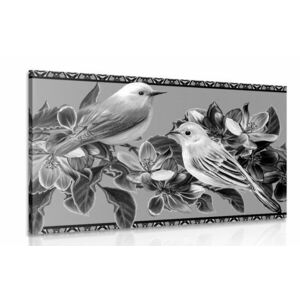 Kép madarak vintage kivitelben fekete fehérben kép
