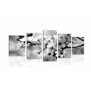 5 részes kép cesrezsnye virág fekete fehérben kép